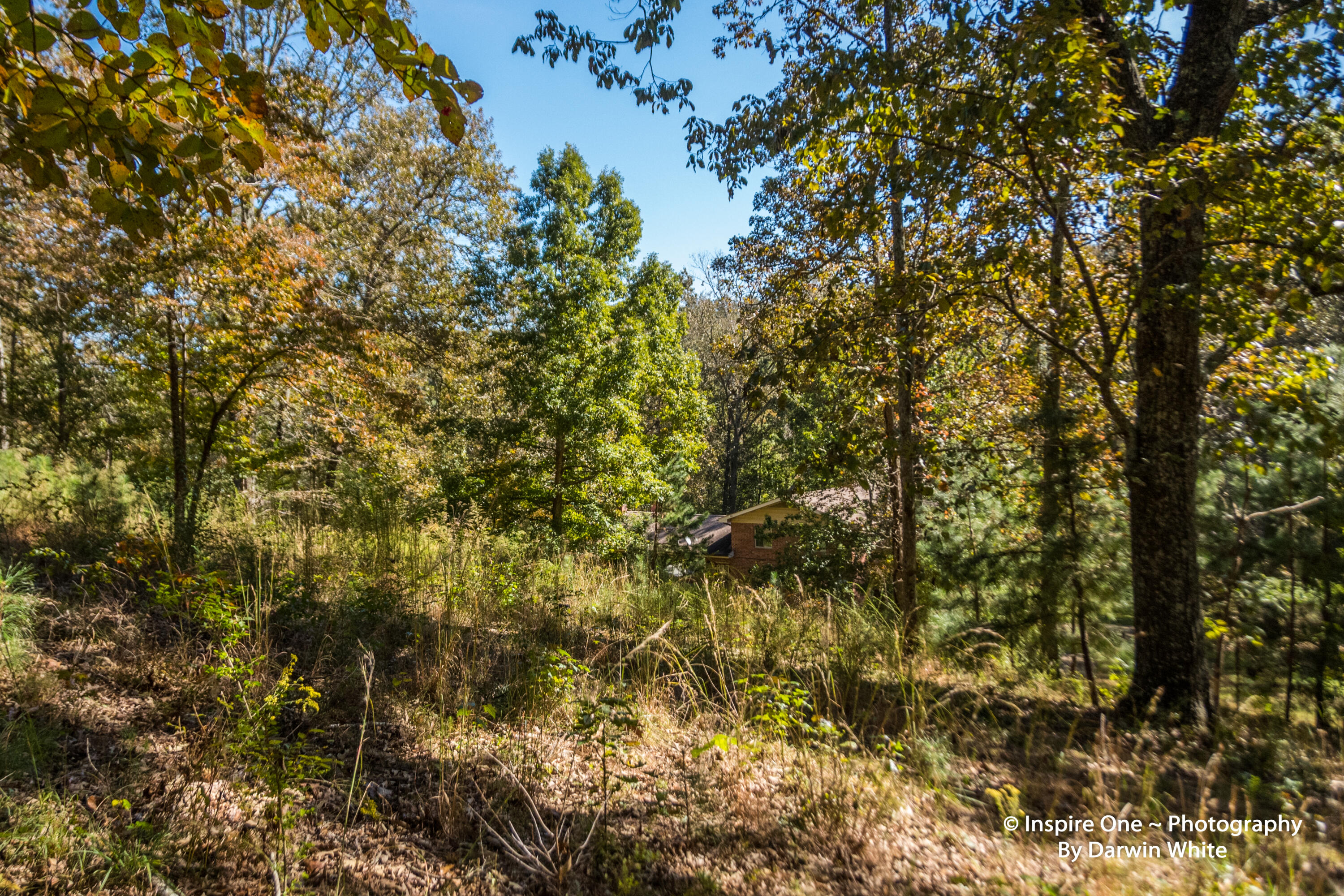 4225 McDonald Road Apison, TN 37302 - Photo 27 of 36 Woods to House-4149