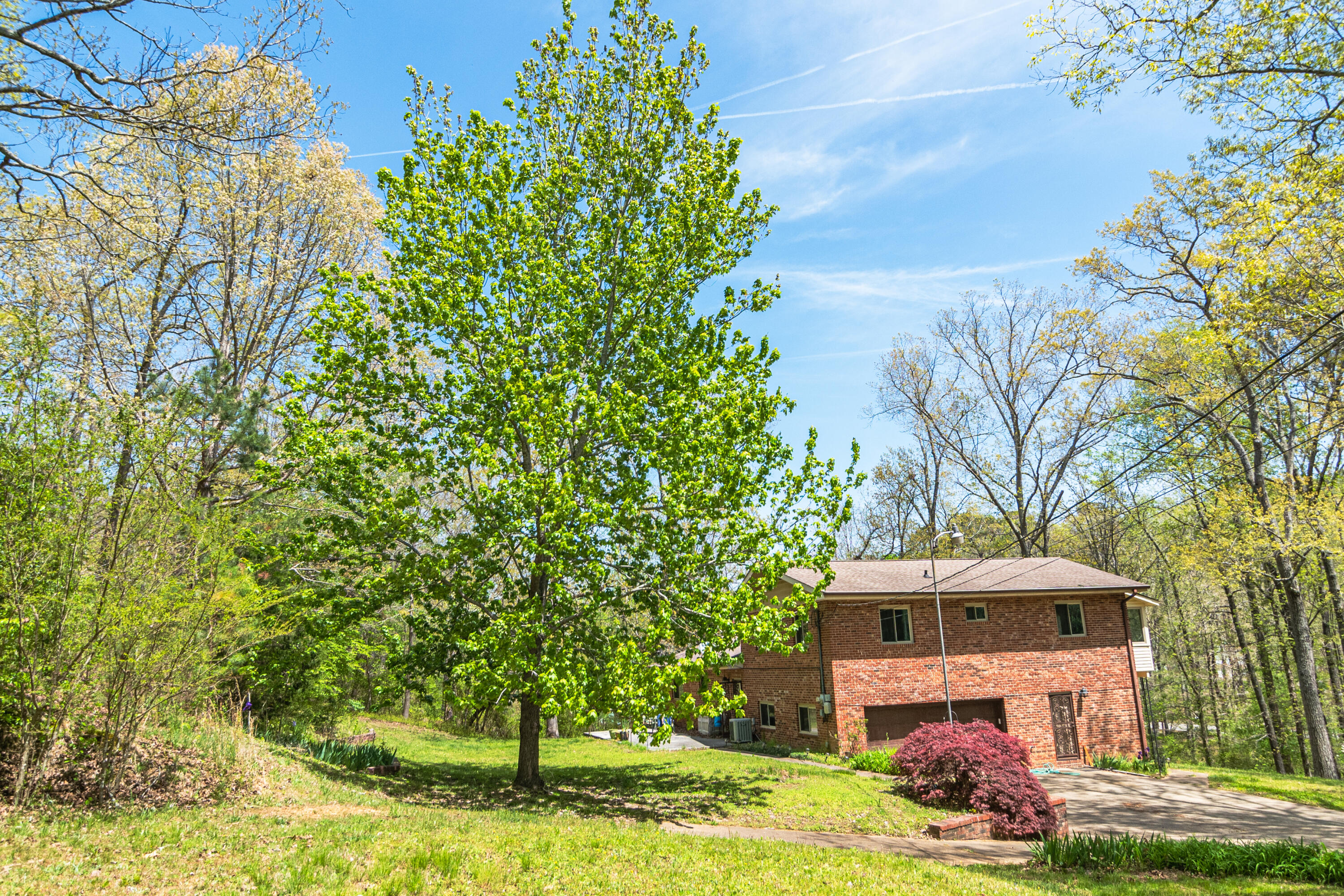 4225 McDonald Road Apison, TN 37302 - Photo 6 of 36 4225 McDonald Rd Garage Side Back Yard (