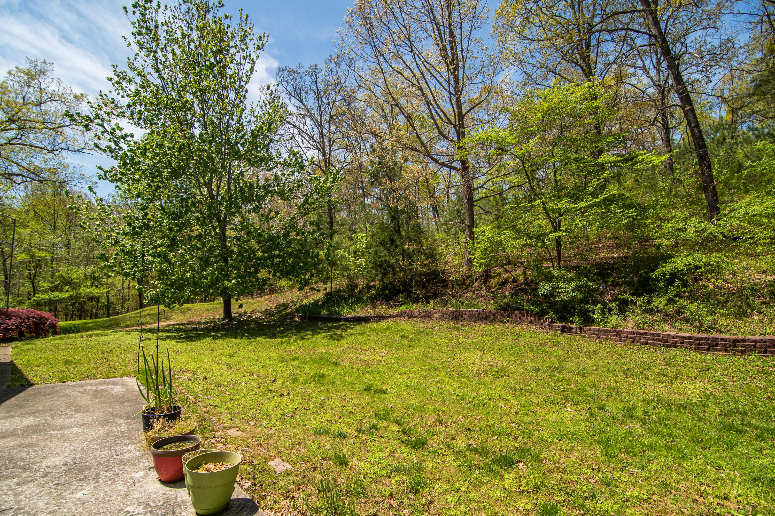 4225 McDonald Road Apison, TN 37302 - Photo 8 of 36 4225 McDonald Rd Patio_BackYard (2 of 2)