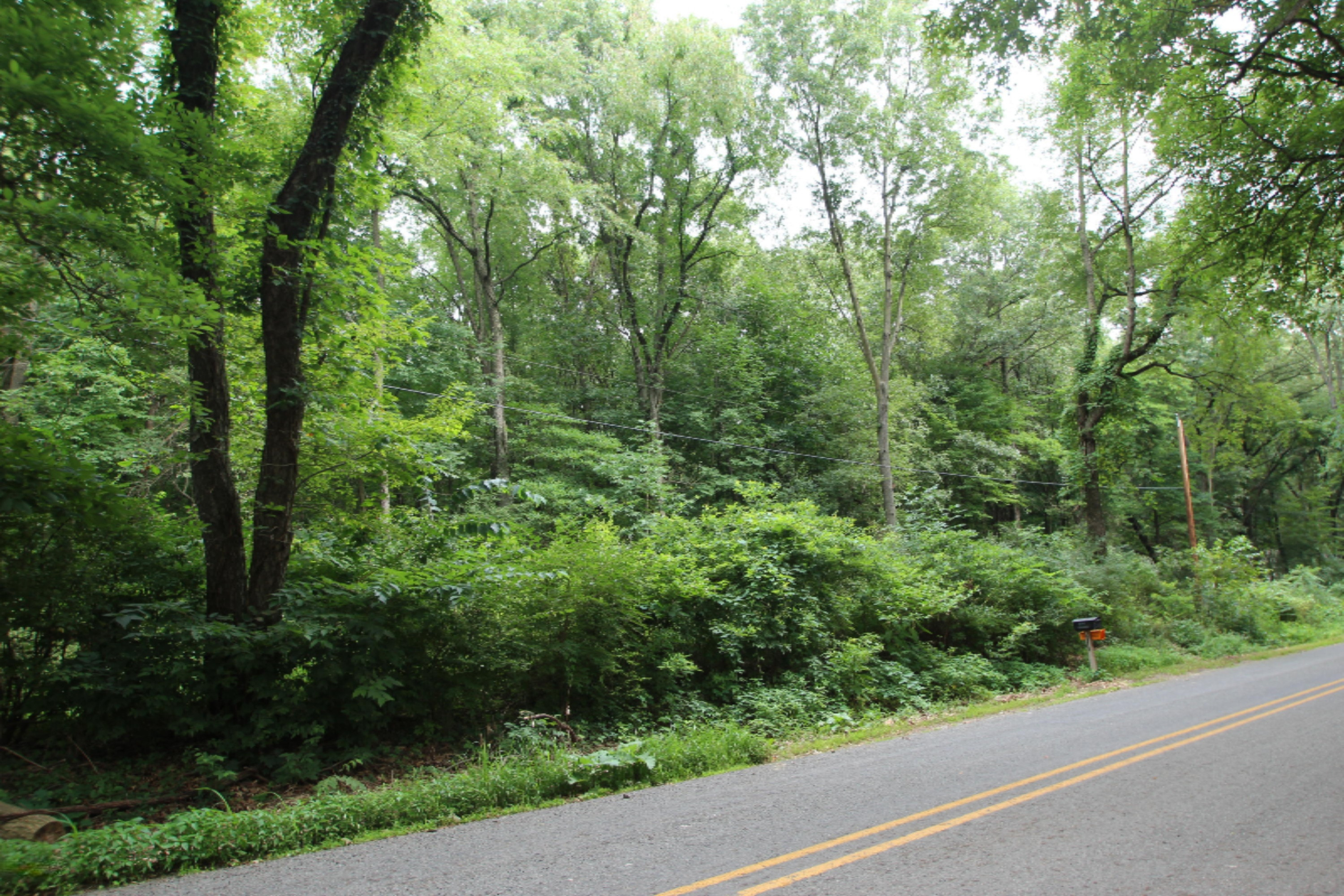 V/l Weaver Road Niles, MI 49120 - Photo 2 of 8 IMG_3097