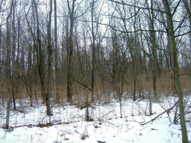 V/l Weaver Road Niles, MI 49120 - Photo 6 of 8 old pic 1