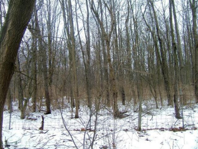 V/l Weaver Road Niles, MI 49120 - Photo 7 of 8 old pic 3