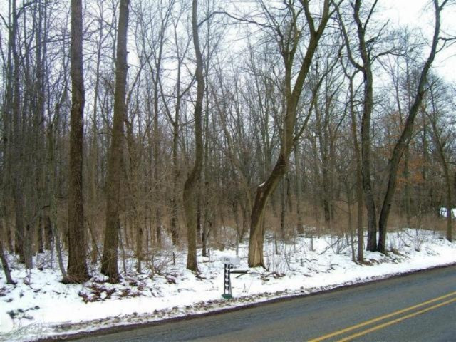 V/l Weaver Road Niles, MI 49120 - Photo 8 of 8 old pic 4