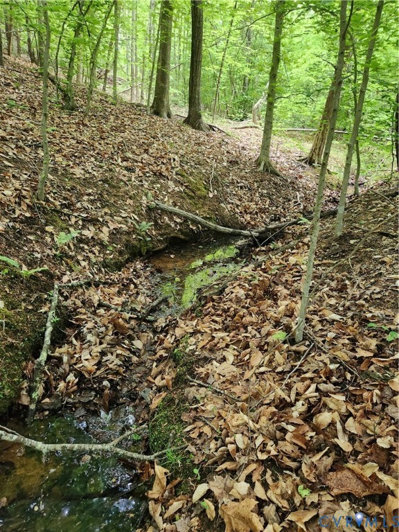 0 Bryants Ford Road Fork Union, VA 23055 - Photo 7 of 14 The intermittent stream is a great place to find w