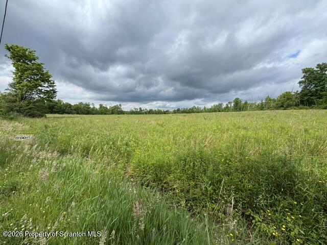 Lot 3 Reynolds Road Dalton, PA 18414 - Photo 6 of 6 IMG_0453