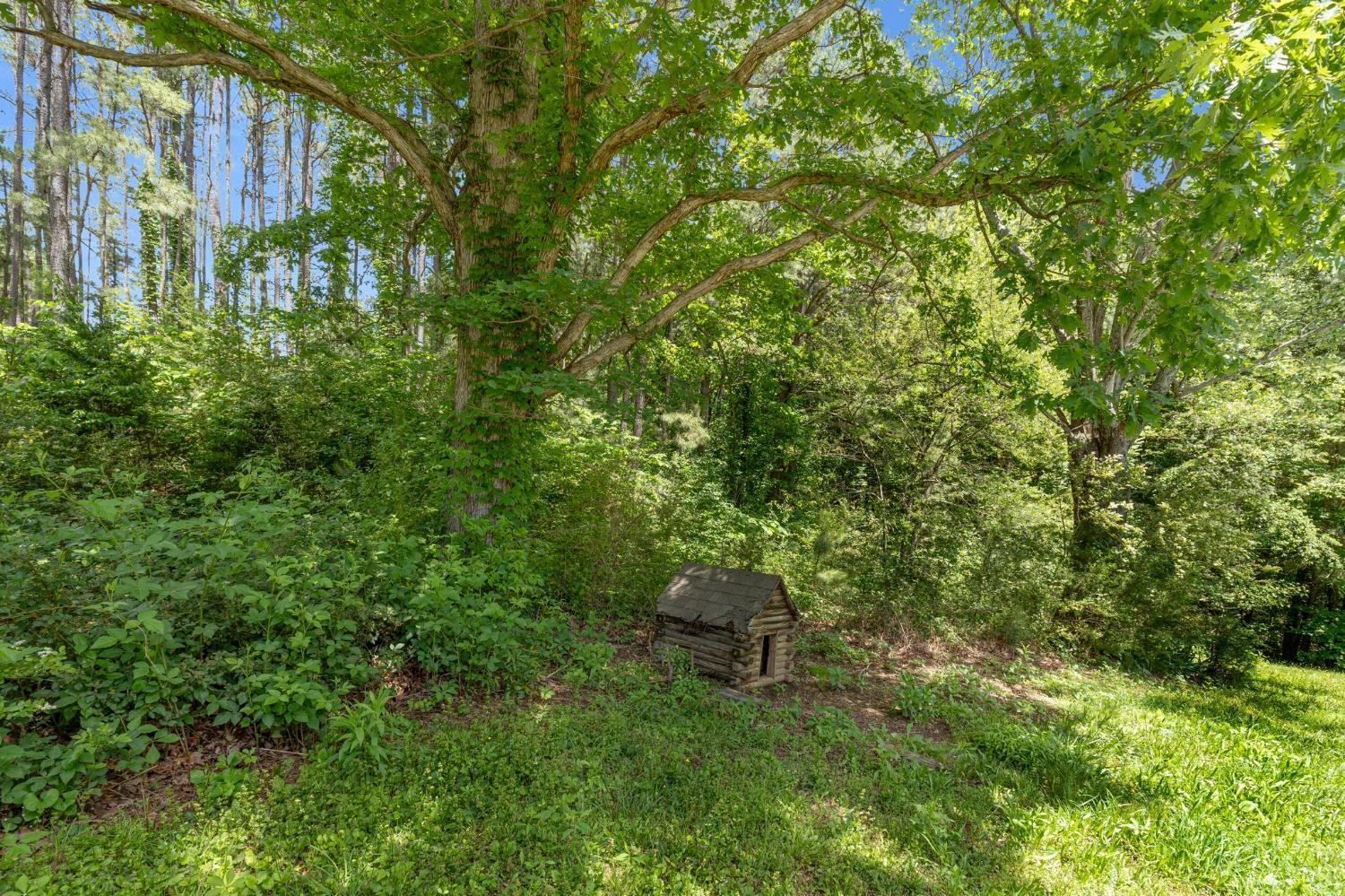 211 Shumaker Road Buckingham, VA 23921 - Photo 25 of 39 a view of yard