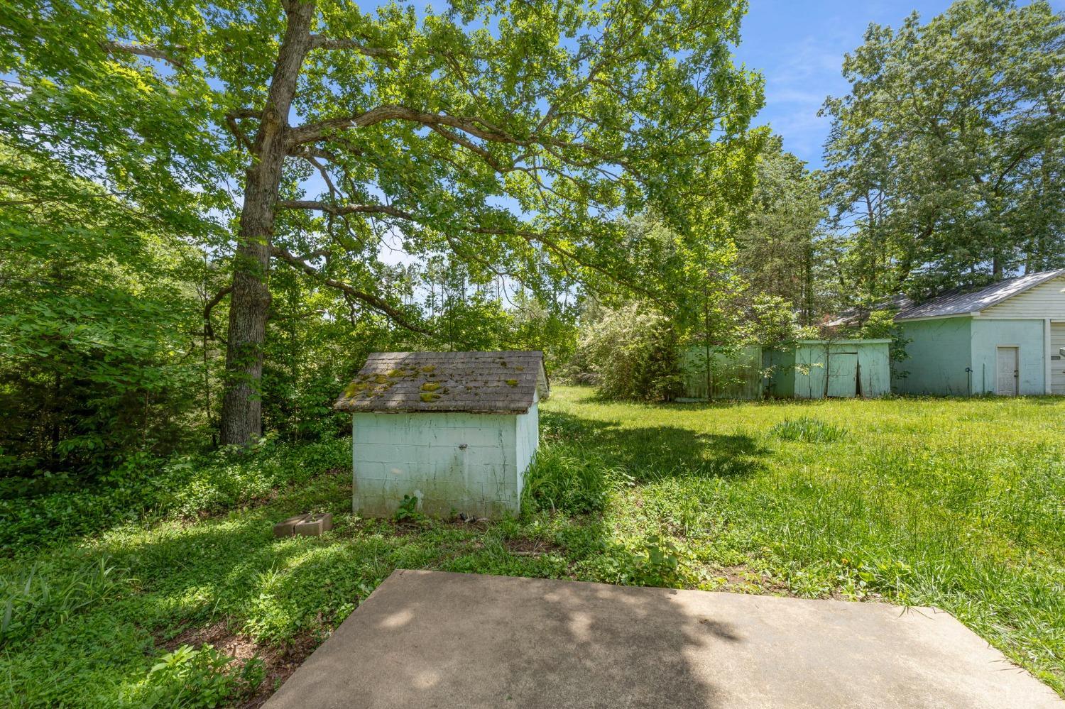 211 Shumaker Road Buckingham, VA 23921 - Photo 33 of 39 a view of a backyard with large trees