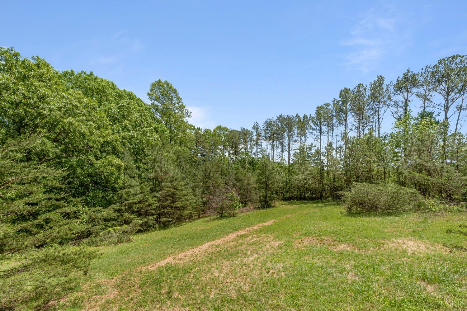 211 Shumaker Road Buckingham, VA 23921 - Photo 35 of 39 a view of a grassy field with trees in the background