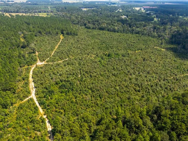 $399,000 | 0 Paul McMillian Road, Merryville, LA 70653