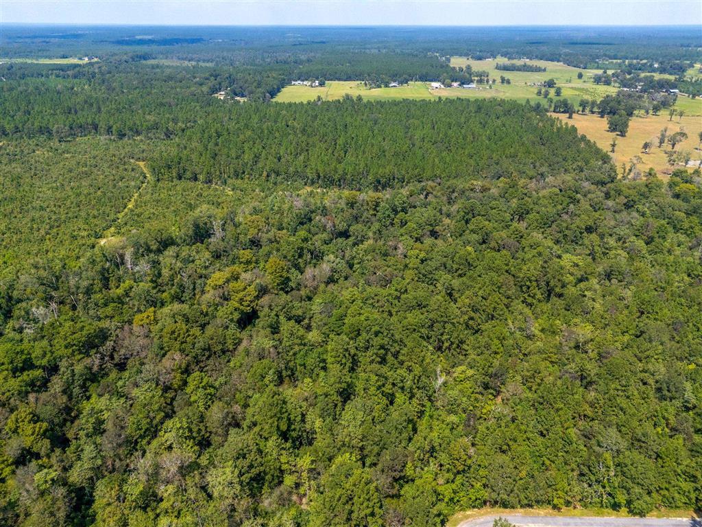 0 Paul McMillian Road Merryville, LA 70653 - Photo 11 of 19