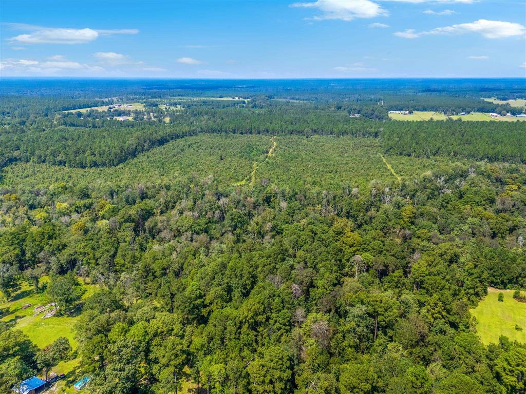 0 Paul McMillian Road Merryville, LA 70653 - Photo 13 of 19