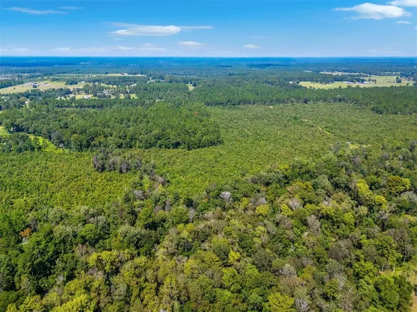 $399,000 | 0 Paul McMillian Road, Merryville, LA 70653