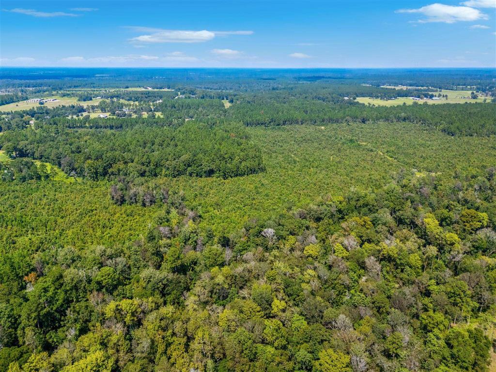 0 Paul McMillian Road Merryville, LA 70653 - Photo 14 of 19