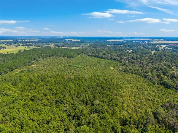 $399,000 | 0 Paul McMillian Road, Merryville, LA 70653