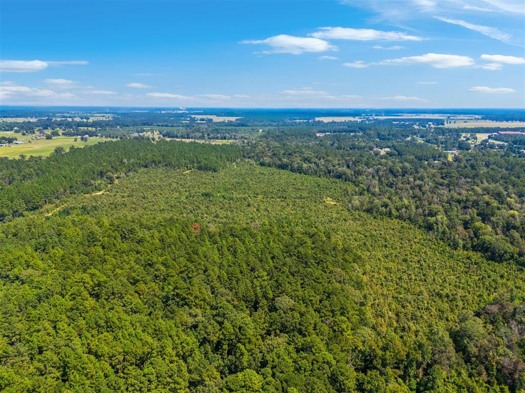 0 Paul McMillian Road Merryville, LA 70653 - Photo 15 of 19