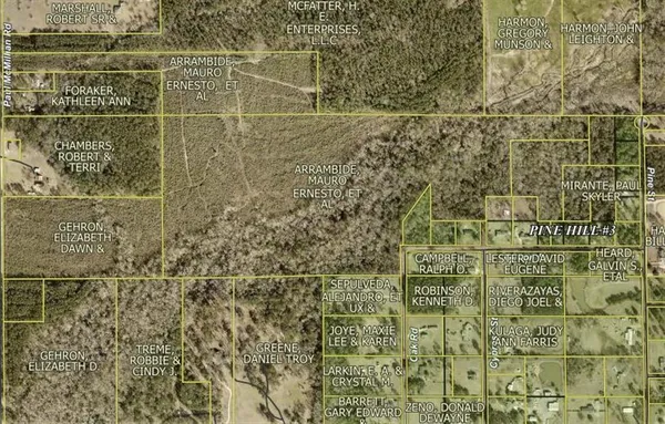 $399,000 | 0 Paul McMillian Road, Merryville, LA 70653