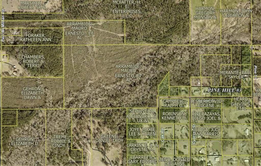 0 Paul McMillian Road Merryville, LA 70653 - Photo 19 of 19