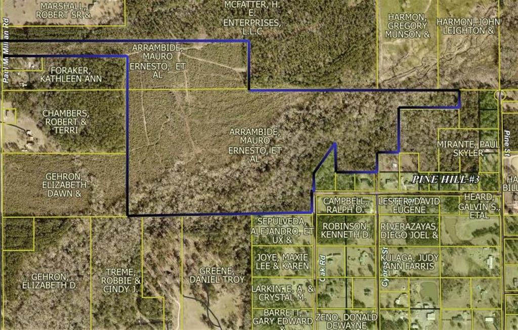 0 Paul McMillian Road Merryville, LA 70653 - Photo 2 of 19