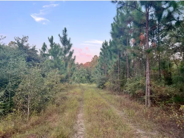 $399,000 | 0 Paul McMillian Road, Merryville, LA 70653