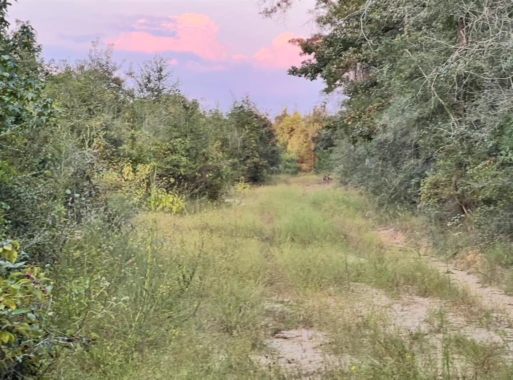 0 Paul McMillian Road Merryville, LA 70653 - Photo 7 of 19