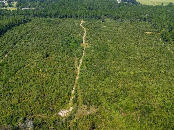 $399,000 | 0 Paul McMillian Road, Merryville, LA 70653