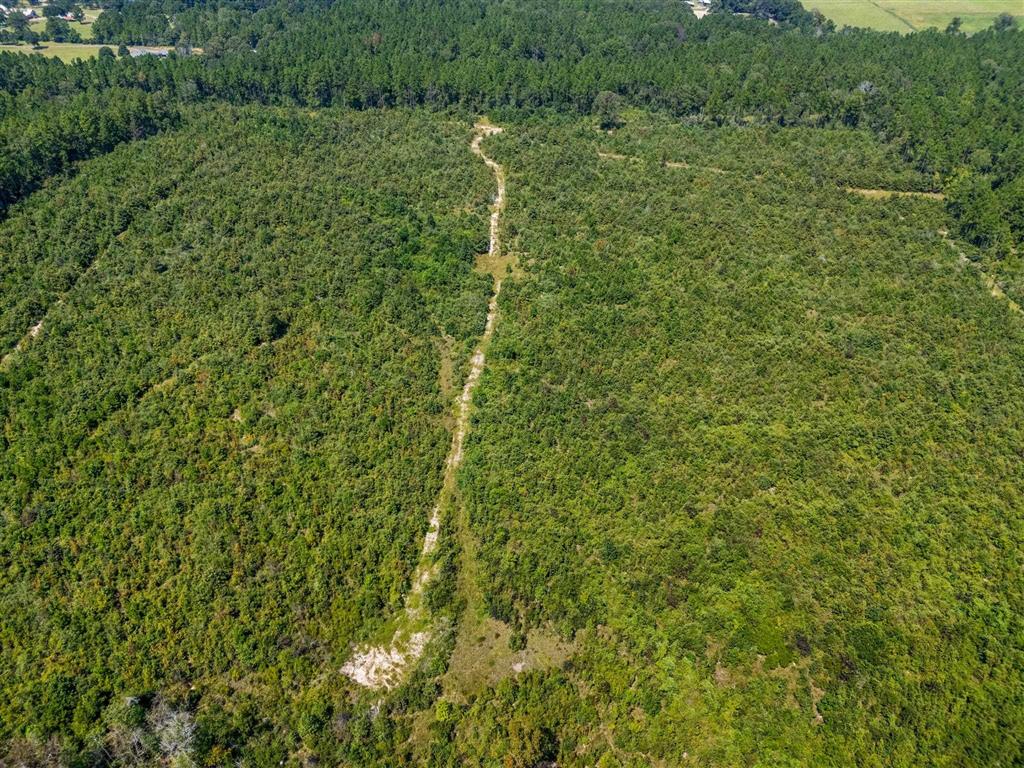 0 Paul McMillian Road Merryville, LA 70653 - Photo 8 of 19