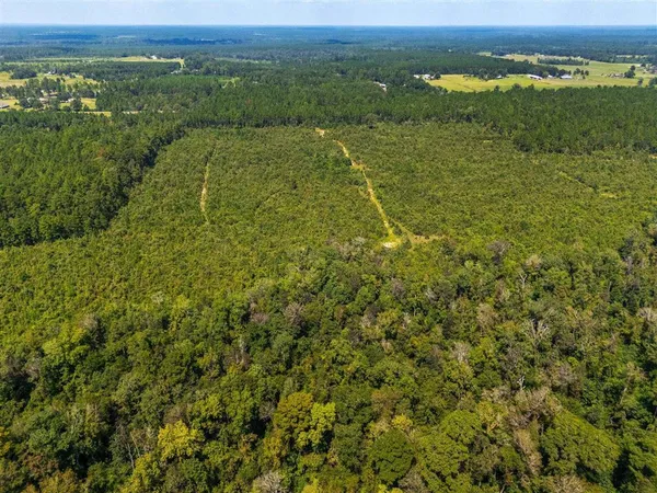 $399,000 | 0 Paul McMillian Road, Merryville, LA 70653