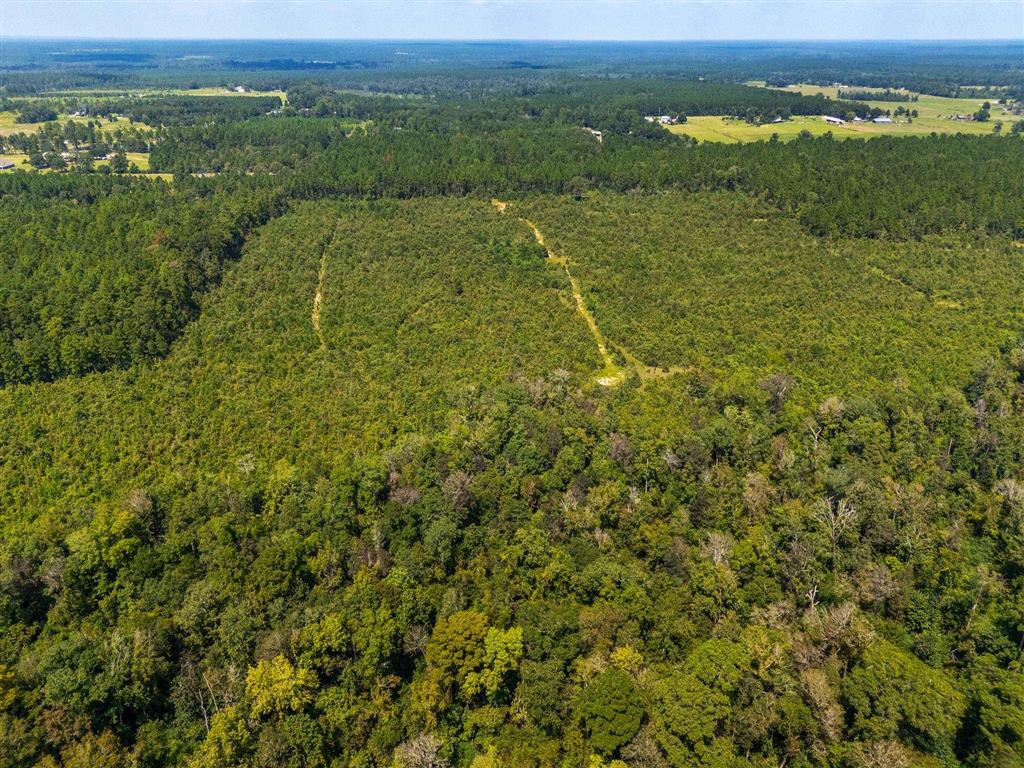 0 Paul McMillian Road Merryville, LA 70653 - Photo 10 of 19