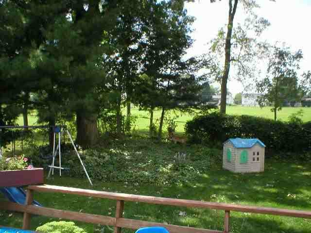 1804 North Ridge Drive Freeport, IL 61032 - Photo 3 of 9 Gallery Image 3
