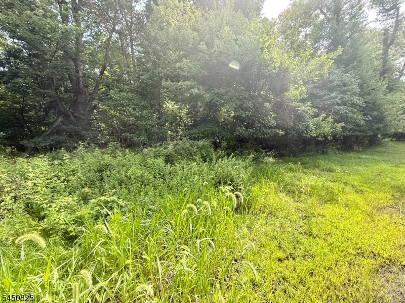 70 Fairfield Road Wayne, NJ 07470 - Photo 6 of 7