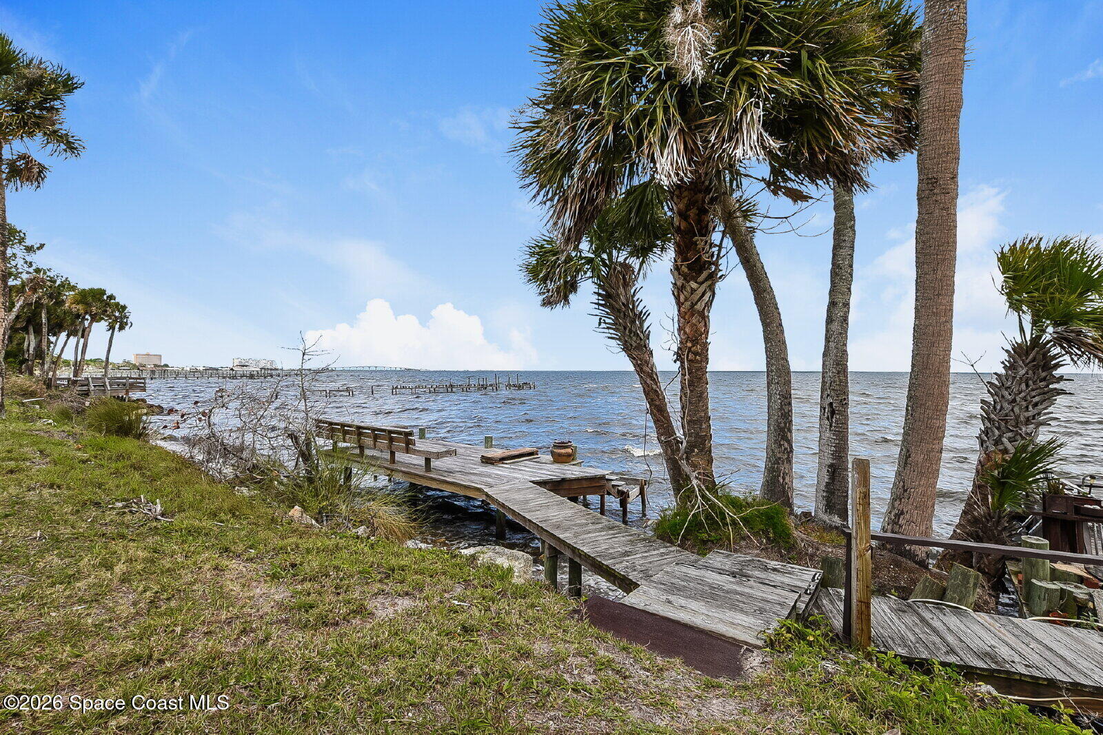 1428 Riverside Drive Titusville, FL 32780 - Photo 17 of 17 a view of a garden with a palm tree