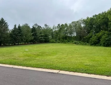 a view of a field with a trees in the background