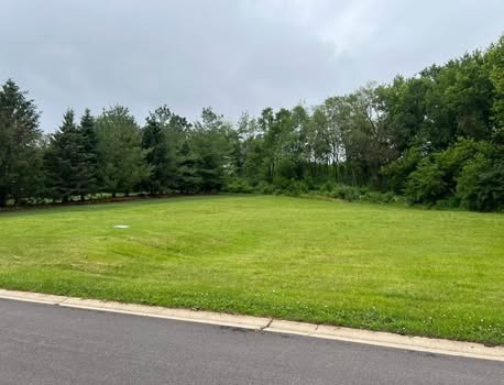 a view of a field with a trees in the background