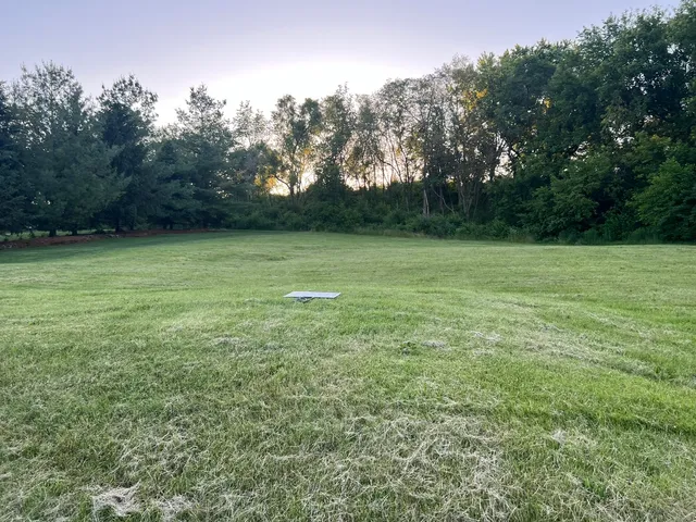 a view of field with tall trees