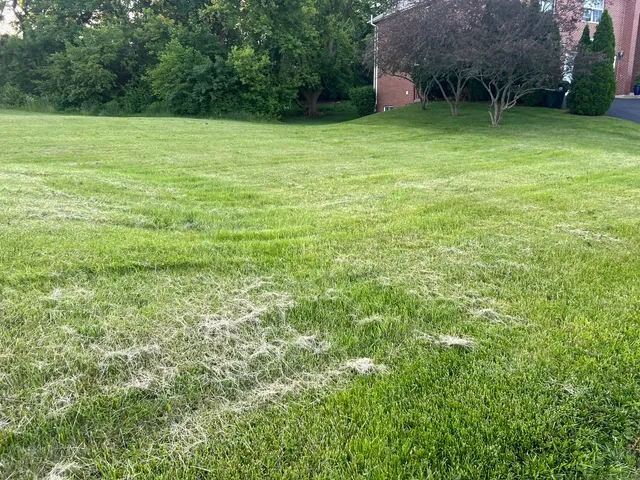 a view of a green yard