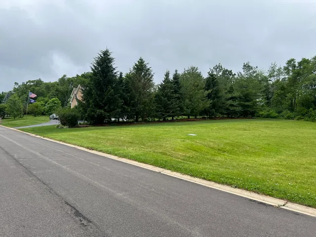 a view of a park with large trees