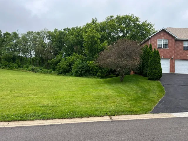 a view of a backyard with plants and large trees