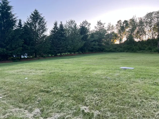 a view of a green yard