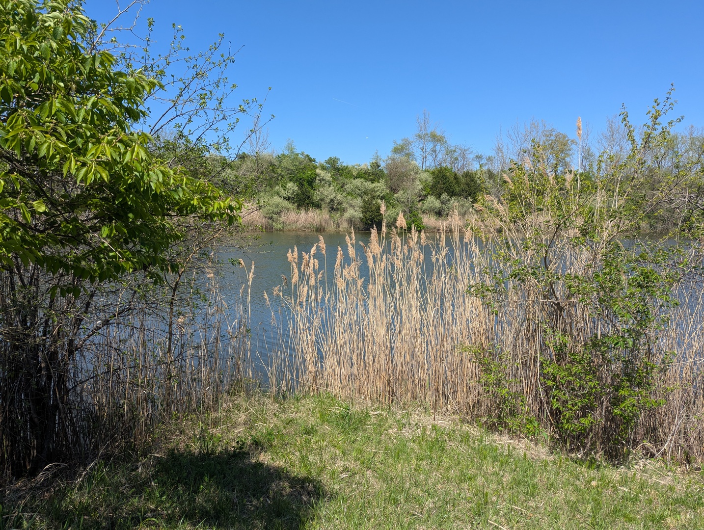 Dor1701 B Henning Road Danville, IL 61834 - Photo 5 of 40 a view of a yard with a house in the background