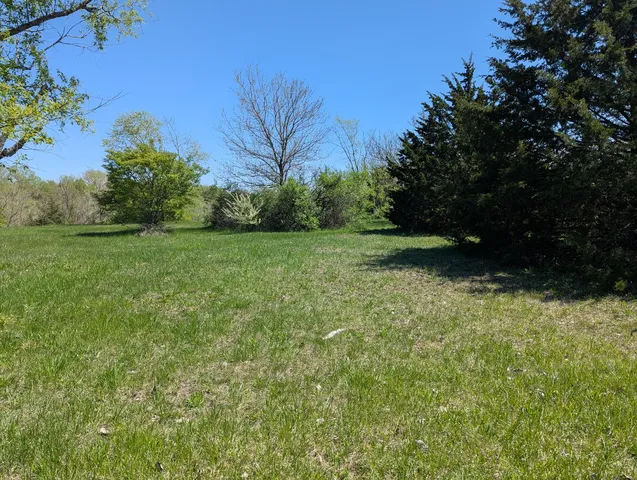 a view of a yard with a tree