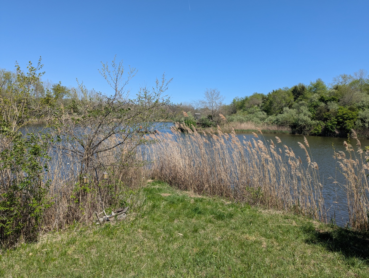 Dor1701 B Henning Road Danville, IL 61834 - Photo 8 of 40 a view of a backyard