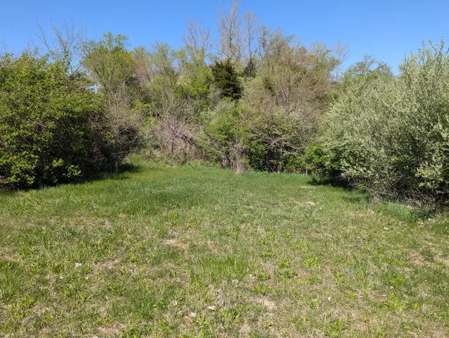 a view of a field with an trees