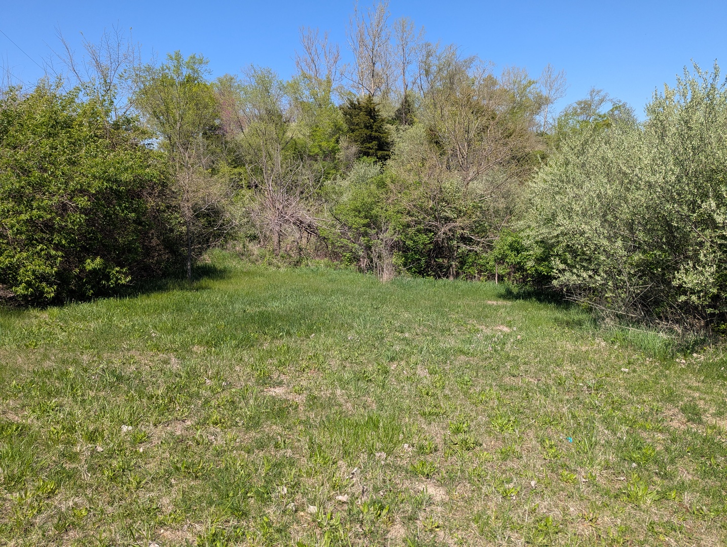 Dor1701 B Henning Road Danville, IL 61834 - Photo 10 of 40 a view of a field with an trees