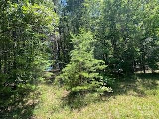 0 Stoneway Lane, Unit 12 Rutherfordton, NC 28139 - Photo 1 of 7 Gallery Image 1