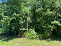 0 Stoneway Lane, Unit 12 Rutherfordton, NC 28139 - Photo 5 of 7 Gallery Image 5