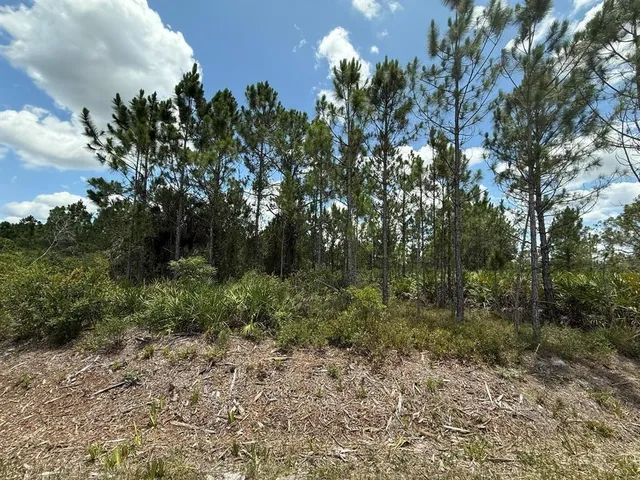 $26,000 | 17428 Northwest 288th Street, Okeechobee, FL 34972