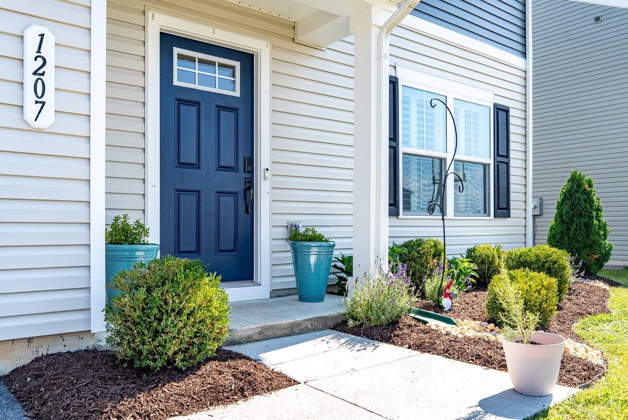 1207 Watson Lane Grottoes, VA 24441 - Photo 3 of 75 a view of a backyard with potted plants