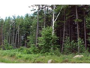 0 Community Camp Road Lancaster, NH 03584 - Photo 4 of 4
