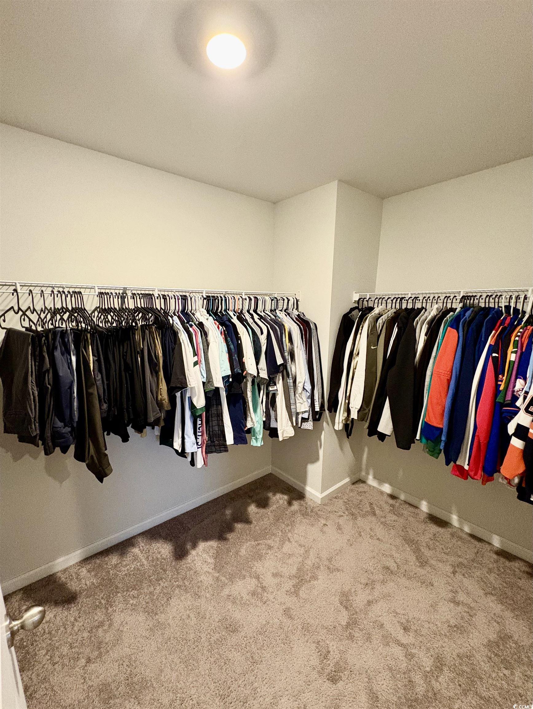 1709 Perthshire Loop Myrtle Beach, SC 29579 - Photo 22 of 38 Walk in closet with carpet