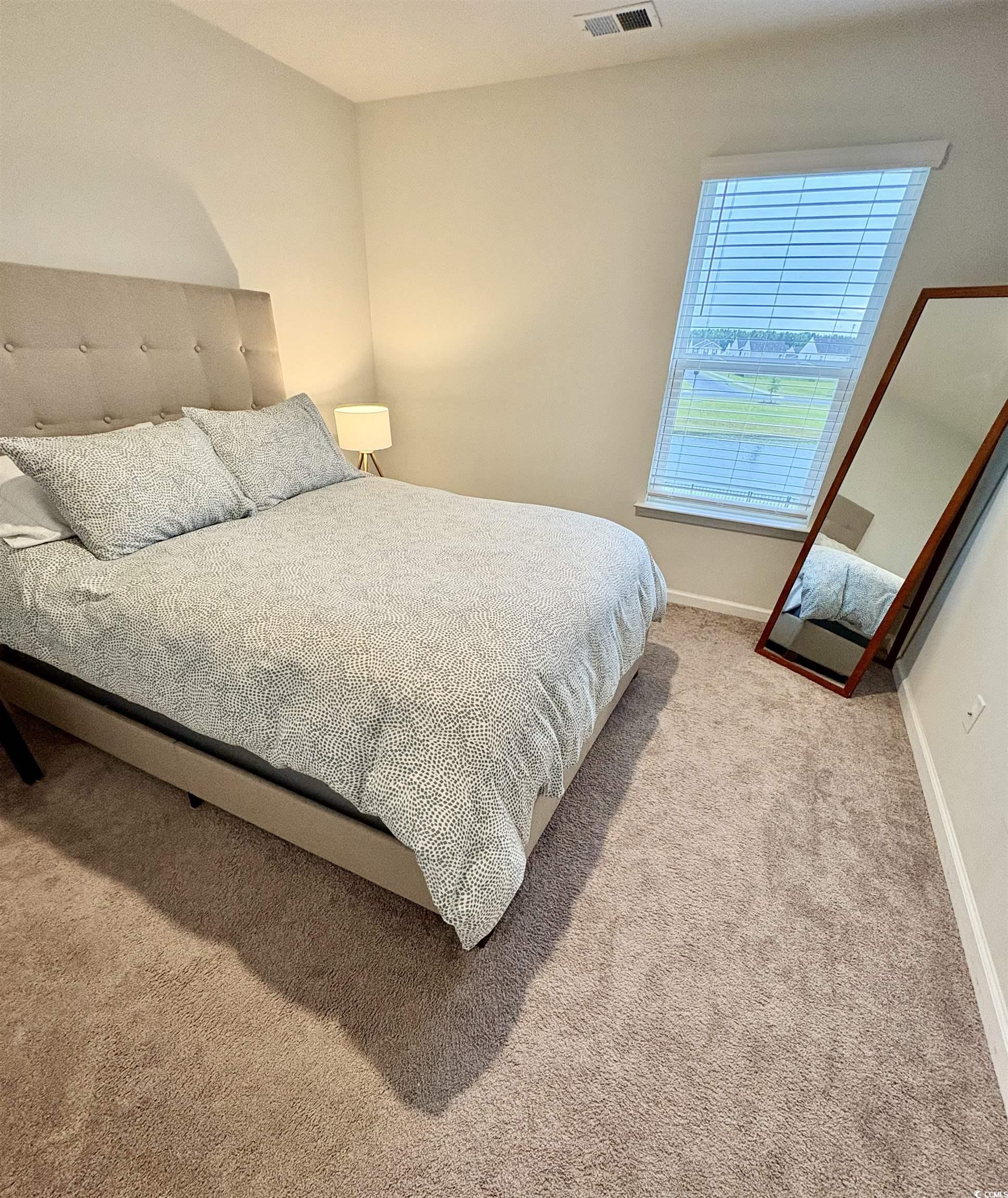 1709 Perthshire Loop Myrtle Beach, SC 29579 - Photo 28 of 38 Carpeted bedroom with baseboards